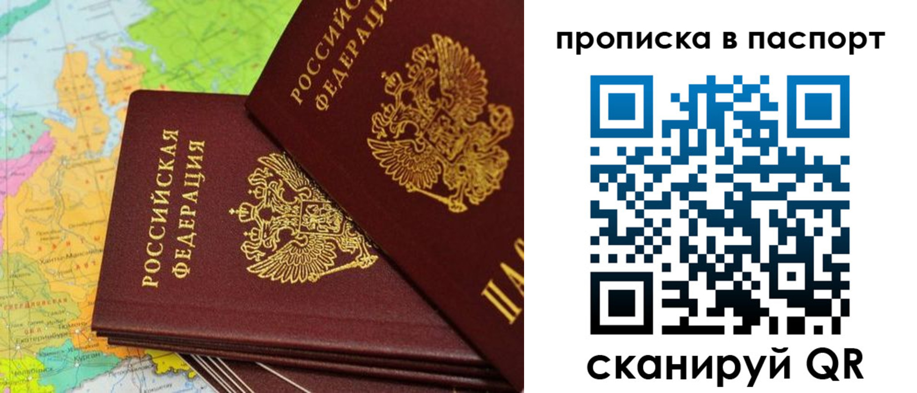 прописка поиск в Белгородской области